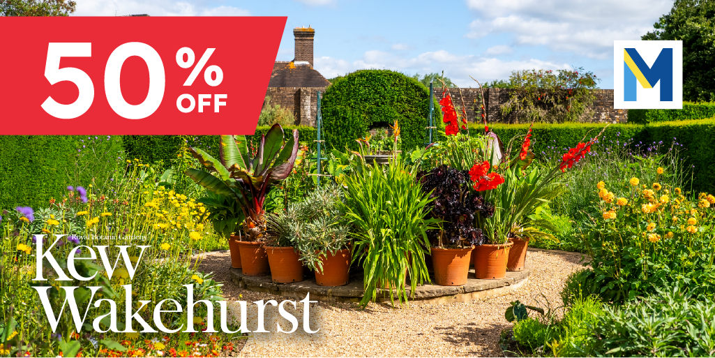 giant potted plants with the kew wakehurst logo overlaid